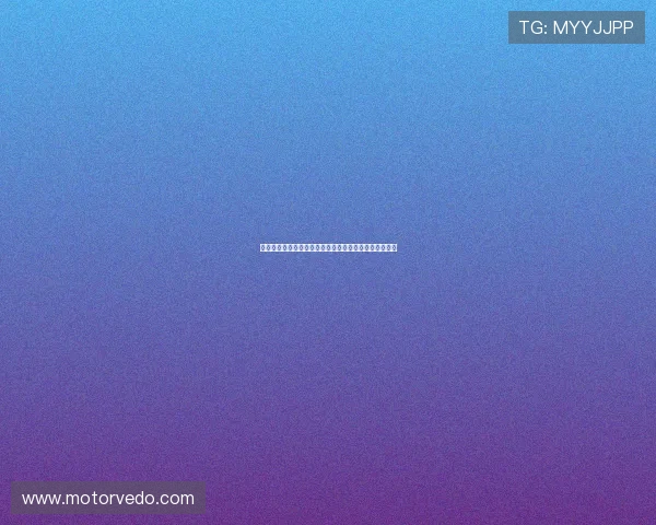 叶乔波：从滑雪冠军到体育文化推广者的奋斗与转型之路